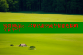 密爱国语版：尽享私密交流与情感连接的全新平台