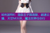 哈利波特6：混血王子国语版，超速云播、天空M3U8，魔法世界任你行