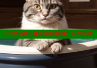 天国的凤凰：畅享高清国语版，尽在掌握