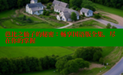 芭比之仙子的秘密:畅享国语版全集,尽在你的掌握