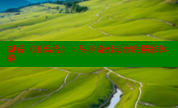 观看《田禹治》:尽享奇幻动作的精彩体验