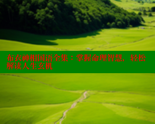 布衣神相国语全集:掌握命理智慧,轻松解读人生玄机 涩里番在线 第1张 布衣神相国语全集:掌握命理智慧,轻松解读人生玄机 涩里番在线 第1张