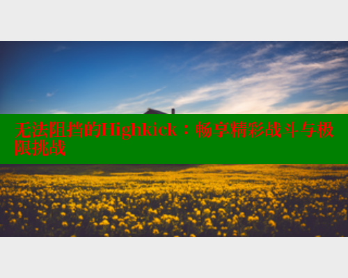 无法阻挡的Highkick：畅享精彩战斗与极限挑战 涩里番在线观看 第2张
