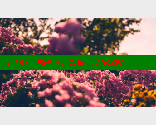 红番区:畅享多元娱乐,尽在掌握 涩里番网站 第2张 红番区:畅享多元娱乐,尽在掌握 涩里番网站 第2张